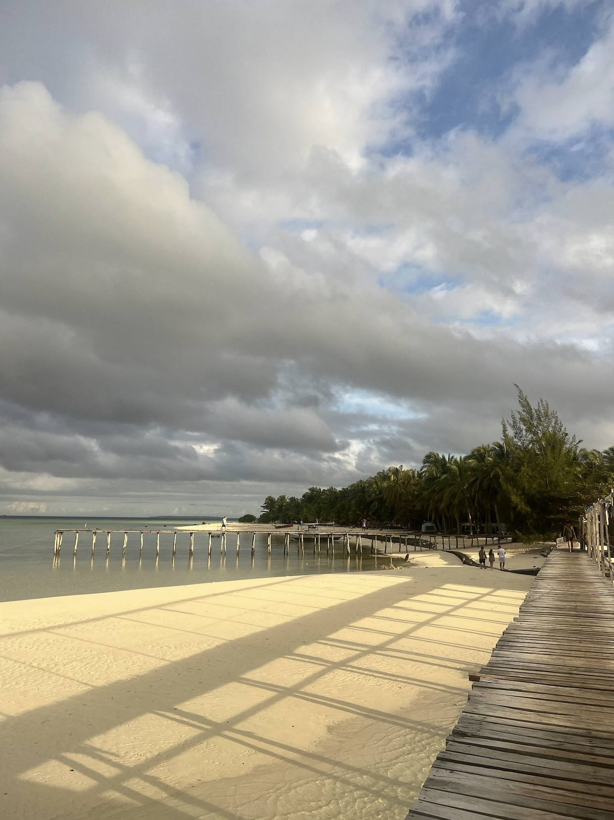 Promenade en bois le long de la plage