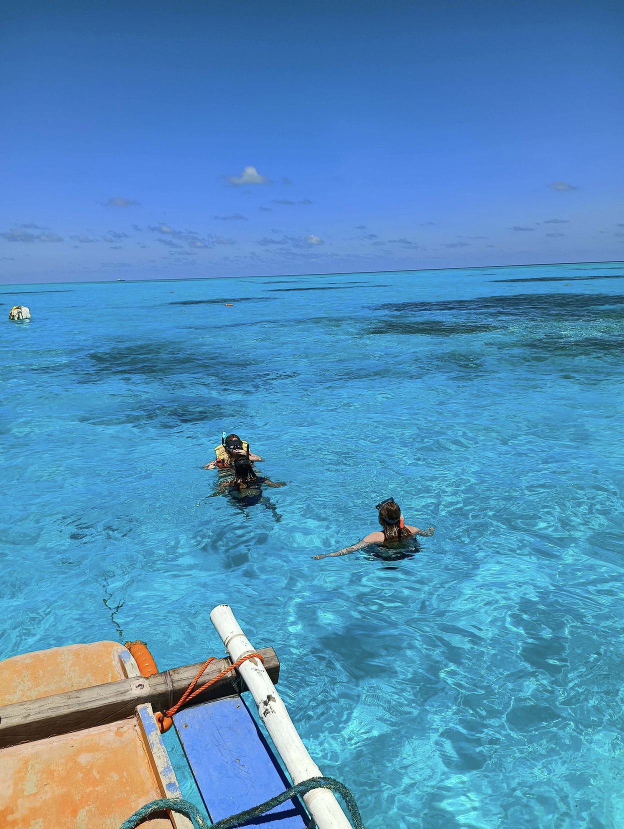 Starfish Sandbar